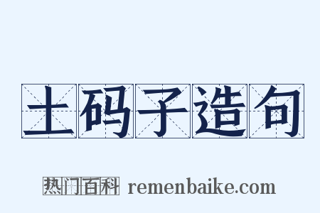 土码子造句是什么意思的图片